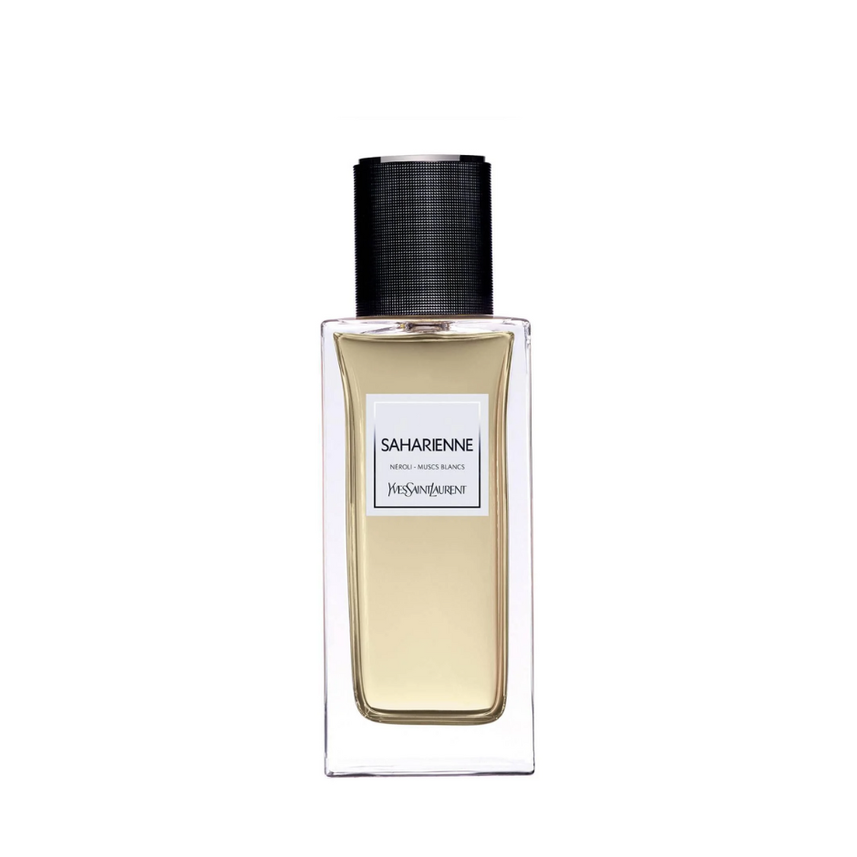 YSL Saharienne