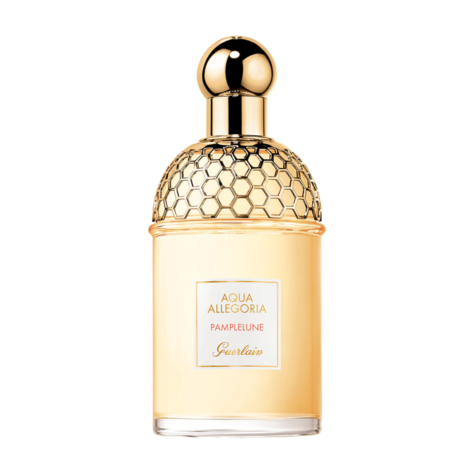 Guerlain Pamplelune