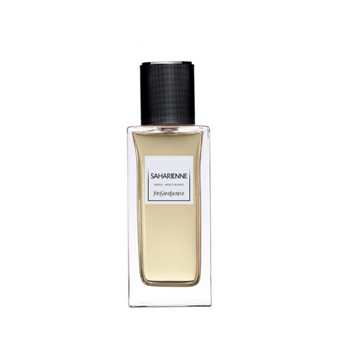 YSL Saharienne