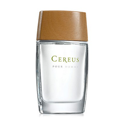 Cereus