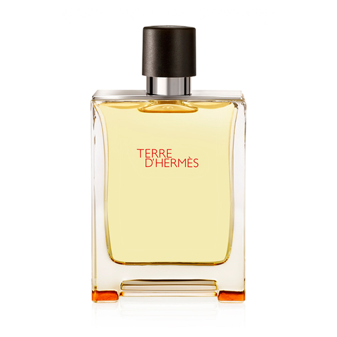 Hermes Terre D'Hermes EDT